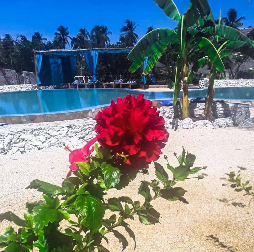 Lucrezia'S Garden Zanzibar Ξενοδοχείο Pwani Mchangani Εξωτερικό φωτογραφία